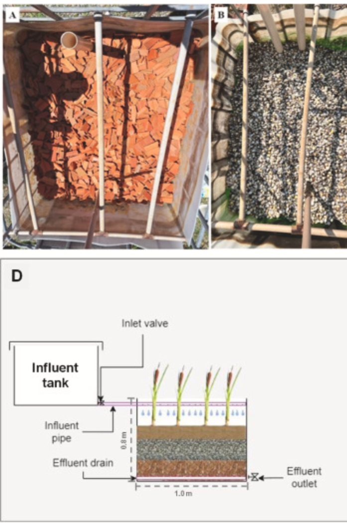Research Highlights: Constructed Wetlands Achieve High-Performance Treatment with Waste Materials