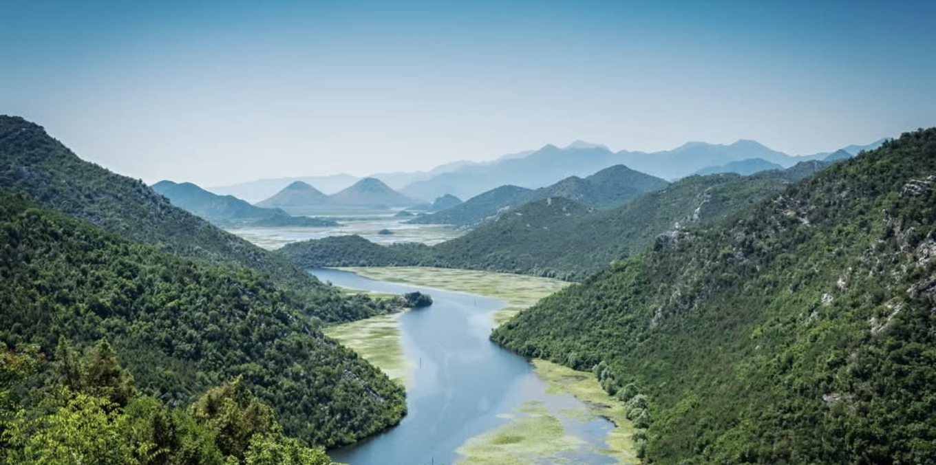 Measuring Nature’s Impact: New Review on NBS Indicators 