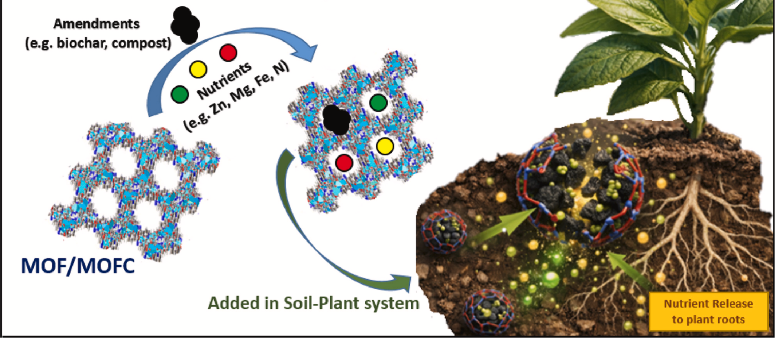 New Scientific Publication from CIRQUA Partners: Innovation in Fertilization and Crop Defense